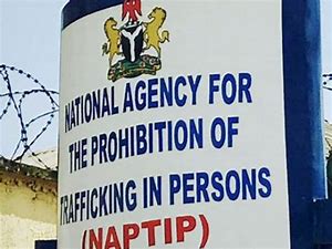 You are currently viewing 4 Stolen Children Rescued by NAPTIP From child Traffickers