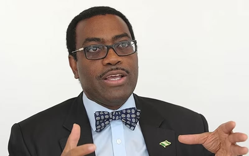 AfDB Unveils Ambitious $2.7 Billion Plan for Nigeria Amidst Economic Challenges