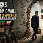 Cracks in the Economic Wall: The Exit of Wale Edun and the Unanswered Question – Will Nigeria’s Pain End or Deepen?