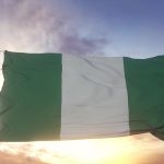 The Nigerian Diaspora as the Fifth Realm of Governance, and Its Critical Role in Nation-Building