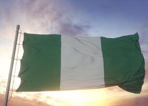 Read more about the article The Nigerian Diaspora as the Fifth Realm of Governance, and Its Critical Role in Nation-Building